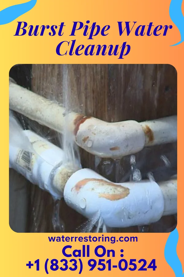 Burst Pipe Water Cleanup in Wolf Trap, VA