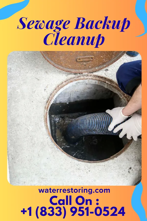 Sewage Backup Cleanup in Wolf Trap, VA
