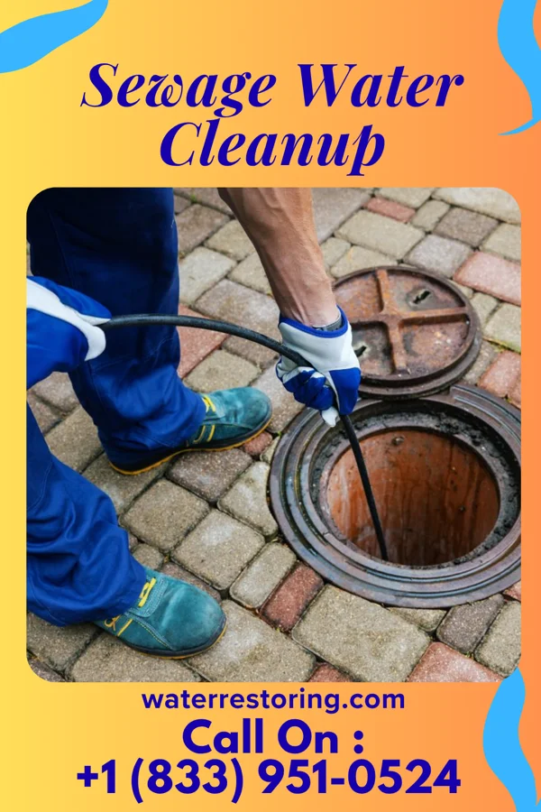 Sewage Water Cleanup in Wolf Trap, VA